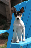 Enlarge photo 7