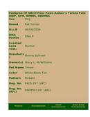 Enlarge HTML Document 2