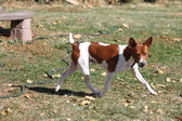 Enlarge photo 19