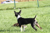 Enlarge photo 20