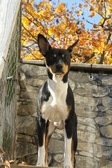 Enlarge photo 13