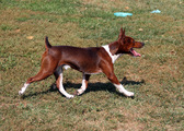 Enlarge photo 6