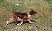 Enlarge photo 3