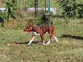 Enlarge photo 5