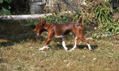Enlarge photo 4