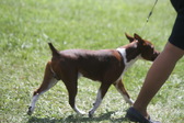 Enlarge photo 6