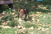 Enlarge photo 19
