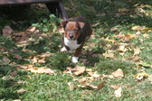 Enlarge photo 24