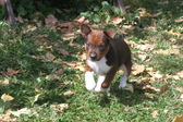 Enlarge photo 23