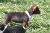 Enlarge photo 20