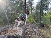 Enlarge photo 7