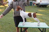 Enlarge photo 11