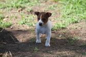 Enlarge photo 23