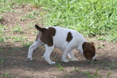 Enlarge photo 21
