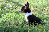 Enlarge photo 19