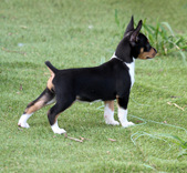 Enlarge photo 15