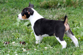 Enlarge photo 24