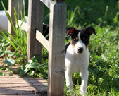Enlarge photo 21