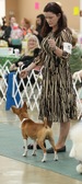 Enlarge photo 18