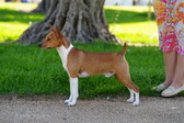 Enlarge photo 20