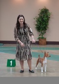 Enlarge photo 14