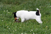 Enlarge photo 3