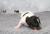 Enlarge photo 5
