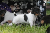 Enlarge photo 11