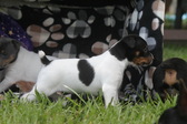 Enlarge photo 10