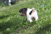 Enlarge photo 13