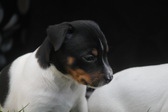 Enlarge photo 9