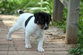 Enlarge photo 8