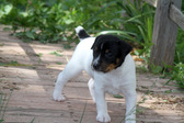 Enlarge photo 7