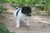 Enlarge photo 6