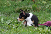 Enlarge photo 15