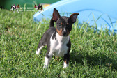 Enlarge photo 6