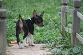 Enlarge photo 5