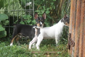 Enlarge photo 8