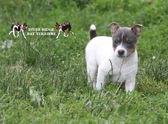 Enlarge photo 13
