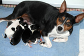 Enlarge photo 4