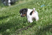 Enlarge photo 10