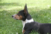 Enlarge photo 9