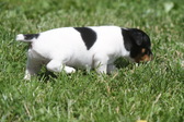 Enlarge photo 8