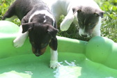 Enlarge photo 24