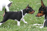 Enlarge photo 20
