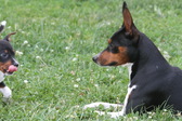 Enlarge photo 19