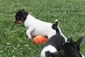 Enlarge photo 15