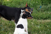 Enlarge photo 7