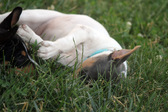 Enlarge photo 3