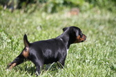 Enlarge photo 14